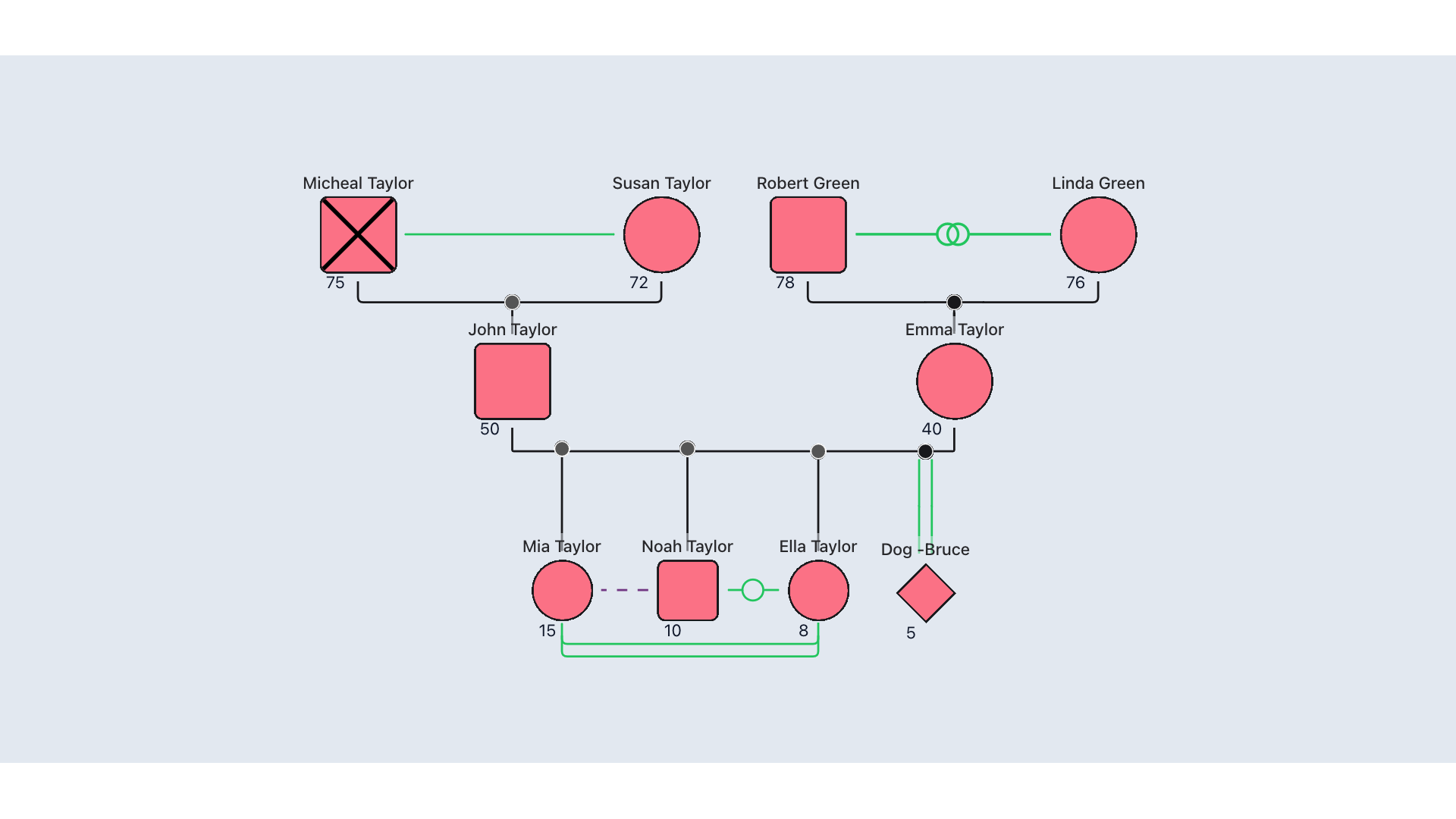 Genogram Example 1