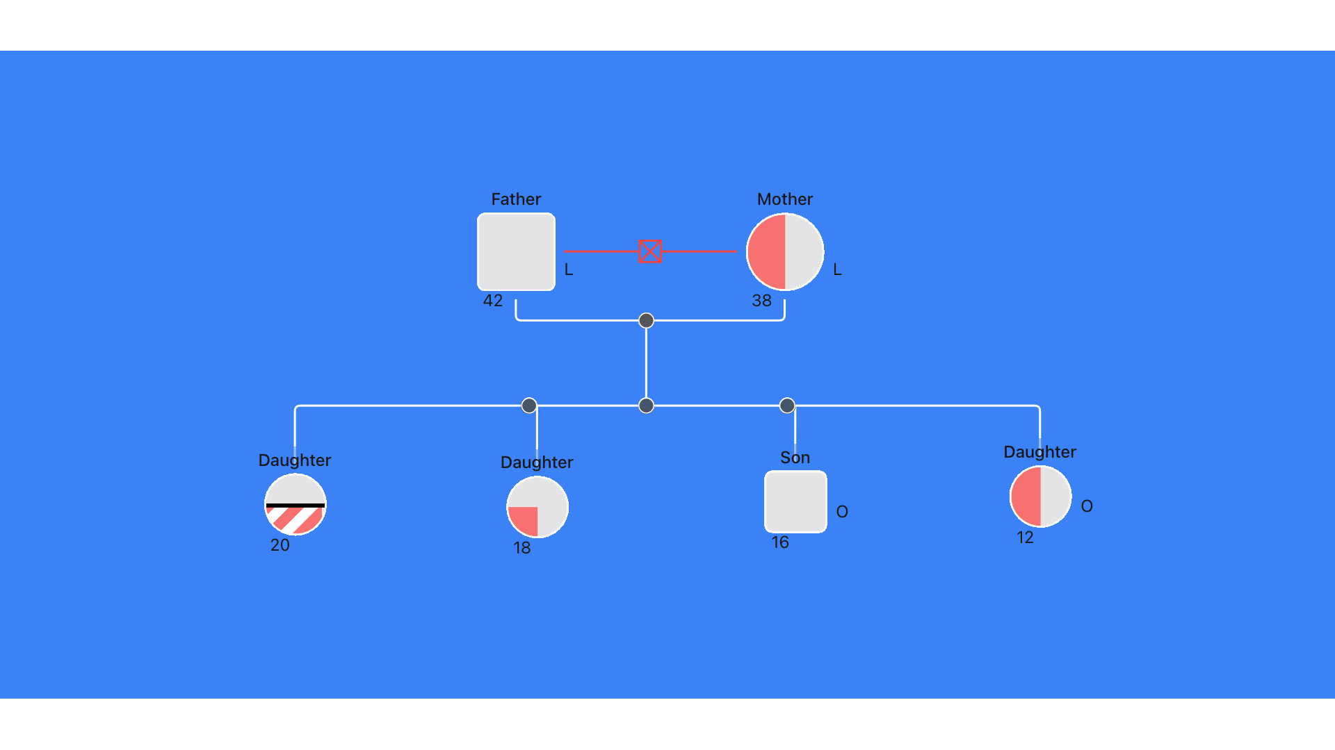 Genogram Example 3