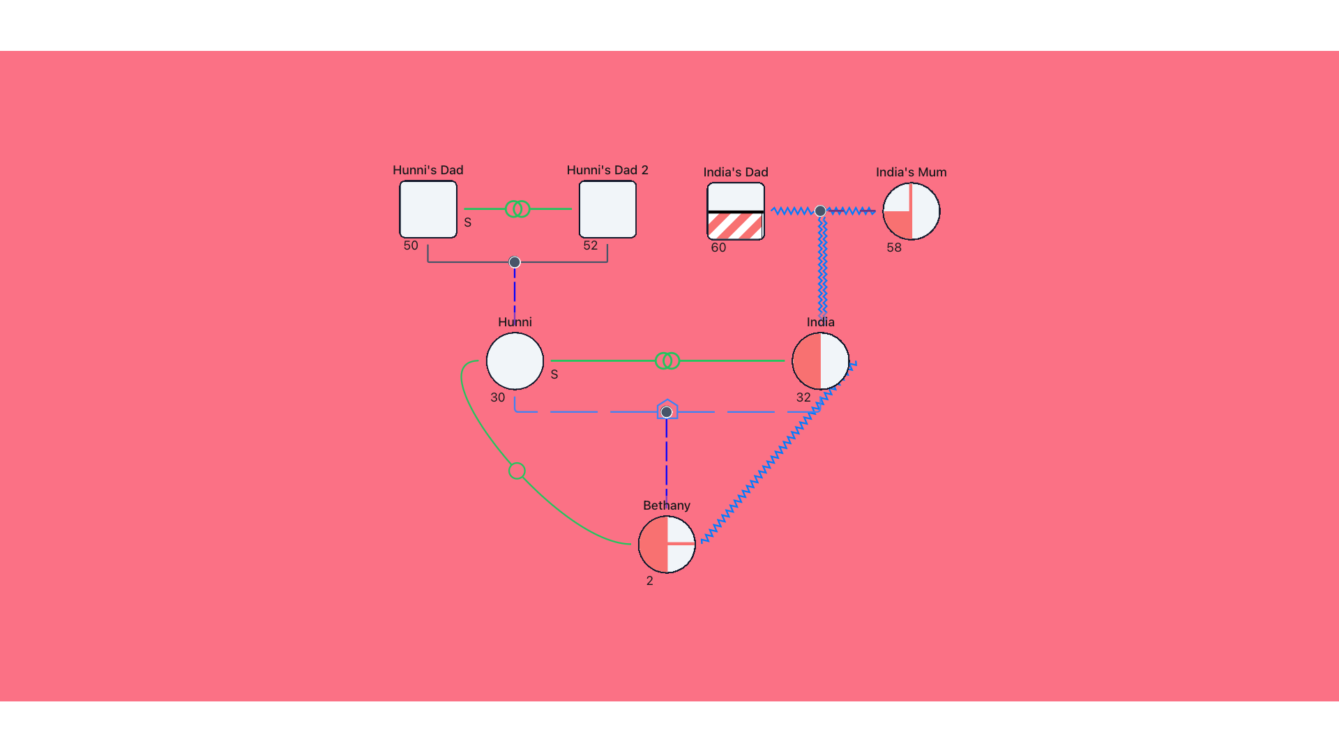 Genogram Example 4