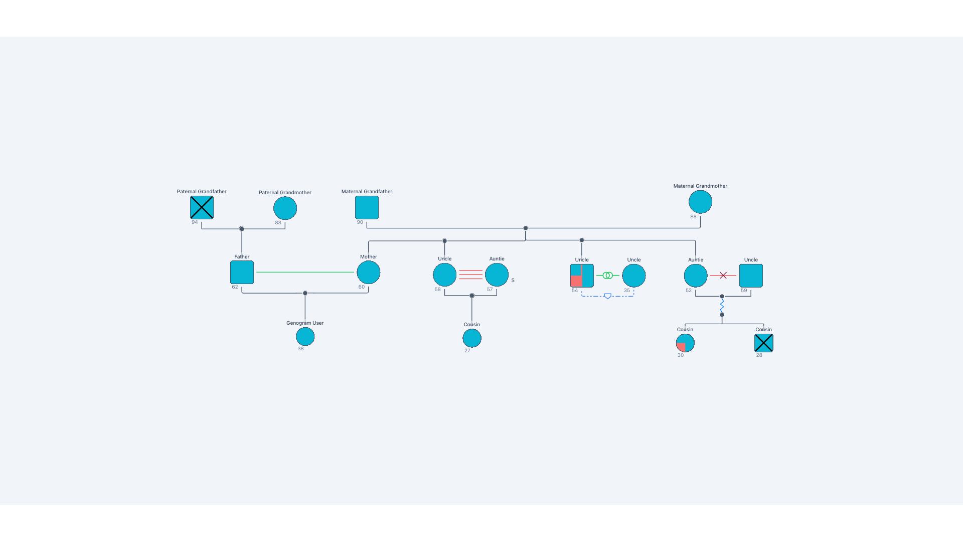 Genogram Example 6