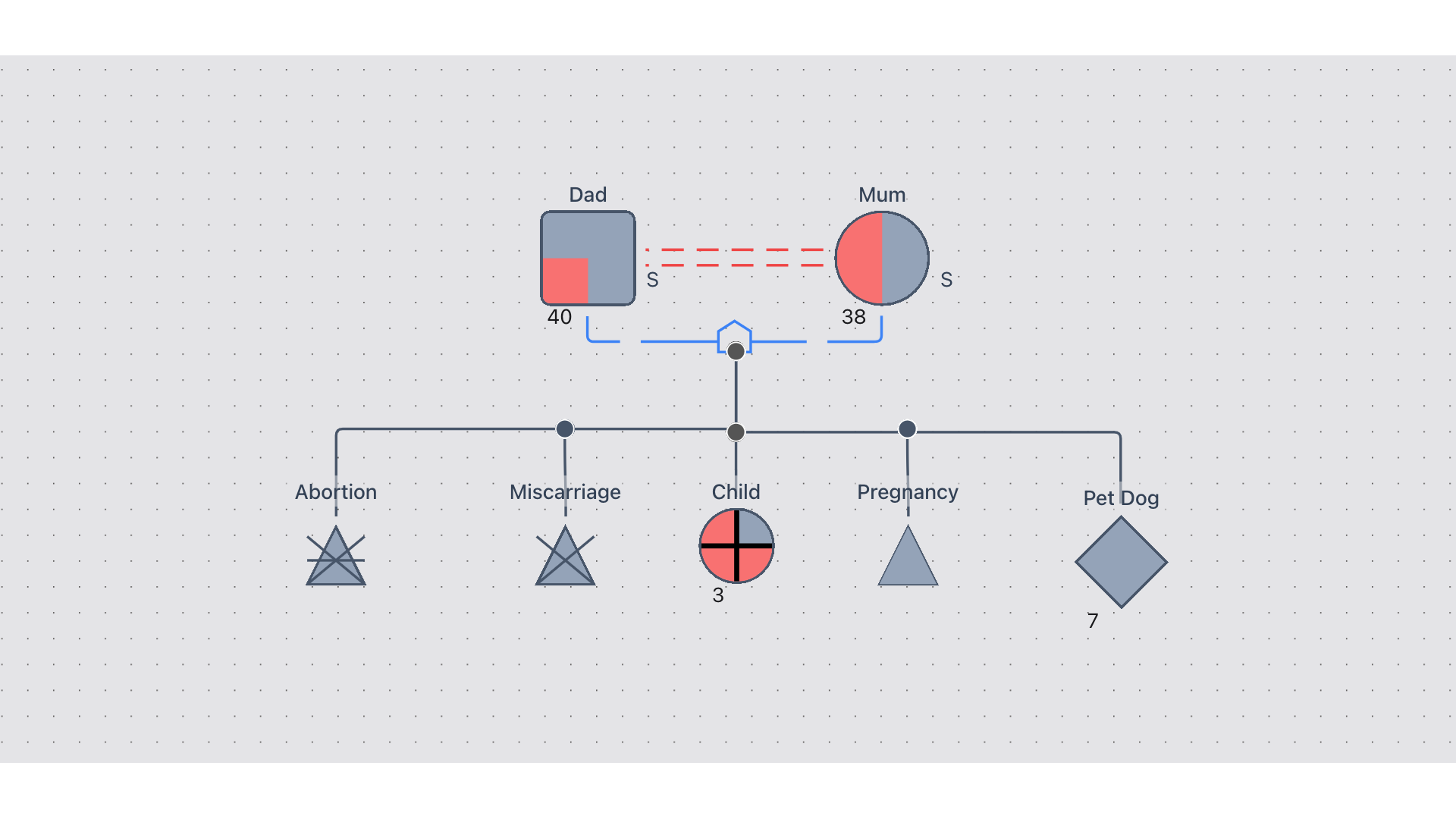 Genogram Example 7